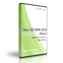 Cisco SD-WAN 20.8 (Basic)
