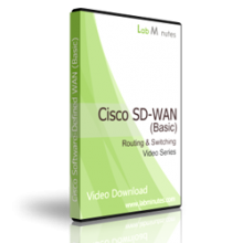 Cisco SD-WAN (Basic)