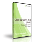 Cisco SD-WAN 20.8 (Basic) Video Bundle